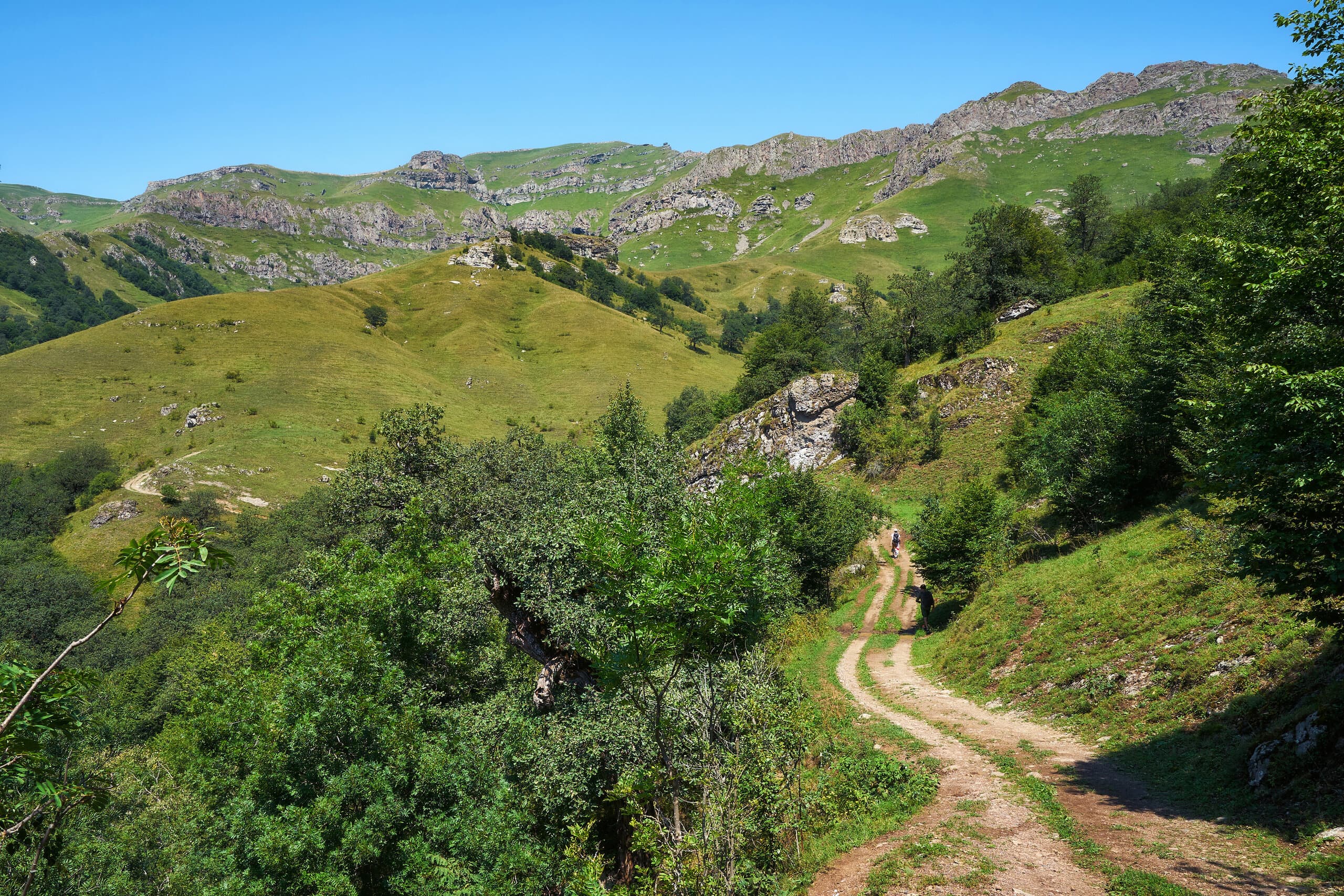 A path through the woods of Dilijan National Park